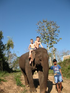 The boys on their trusty steed