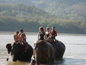 Elephant bath in the Mekong River
