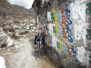 Carved and painted inscriptions along the trail, Langtang Valley