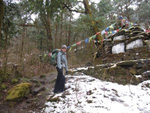 Passing a forest chorten on a slushy day, below Foprang Danda