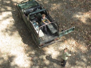 Observing wildlife from above