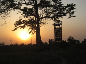 A viewing tower at sunset