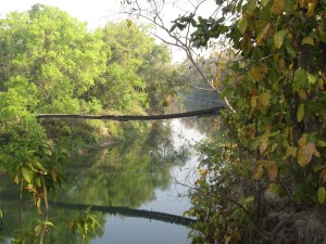 Temporary-lapse-in-parental-judgement bridge, Bardia National Park