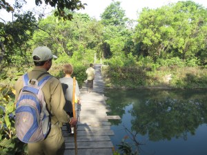 No posts, no cables, no rails, no problem, Bardia National Park