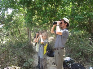 Waiting for our tiger