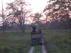 The big guns, Bardia National Park