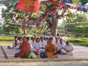 Monks with microphones under prayer flags strung between bodhi trees, Lumbini