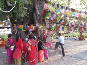 Hindu devotees under a bodhi tree, Lumbini
