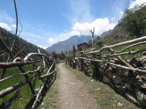 Hiking out in the sun