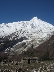 Manaslu from Samagaon